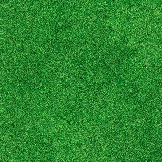Expodecor-Grass