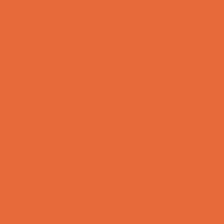 53850_ orange fluo