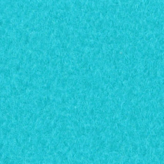 Expoluxe-0924-Turquoise-Pantone2226C