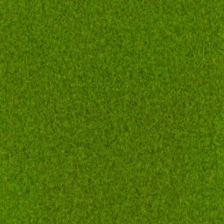 Expoluxe-9631-Spring Green-Pantone363C